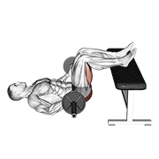 barbell hip thrust