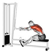 seated cable row